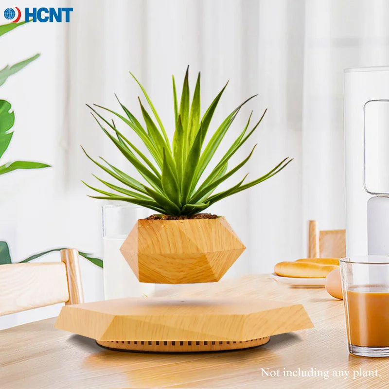 Magnetic Levitating Plant Pot with succulent